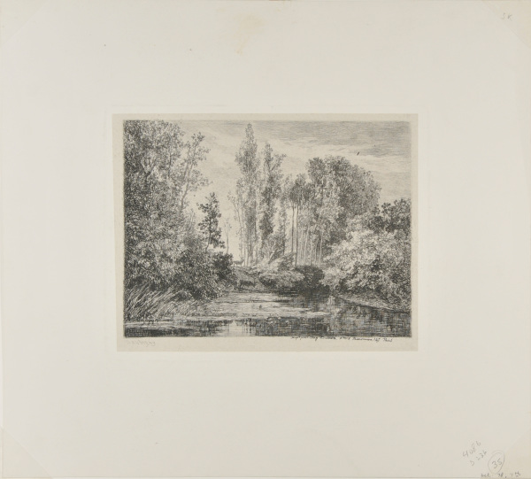 STAGS AT THE WATER'S EDGE