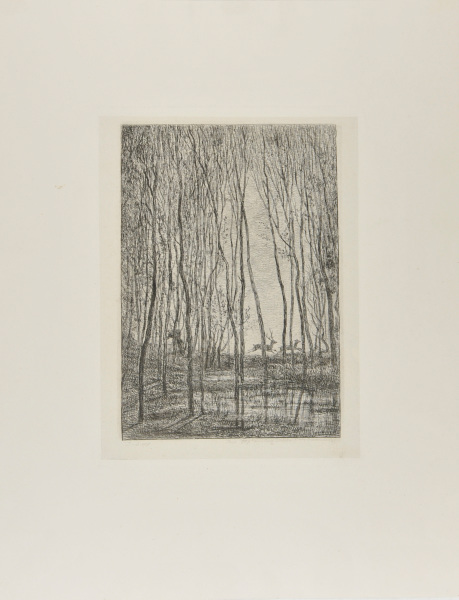 THE STAGS IN THE WOODS