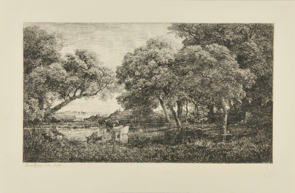 THE COWS IN THE MARSH