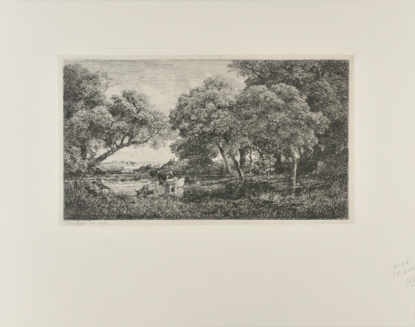 Les Vaches au marais