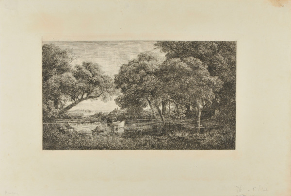 THE COWS IN THE MARSH