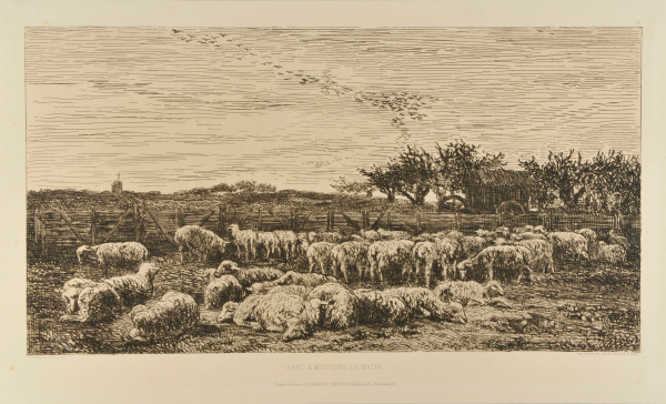 Le Grand parc à moutons