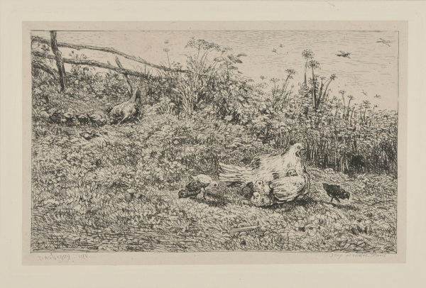 THE HEN AND HER CHICKS