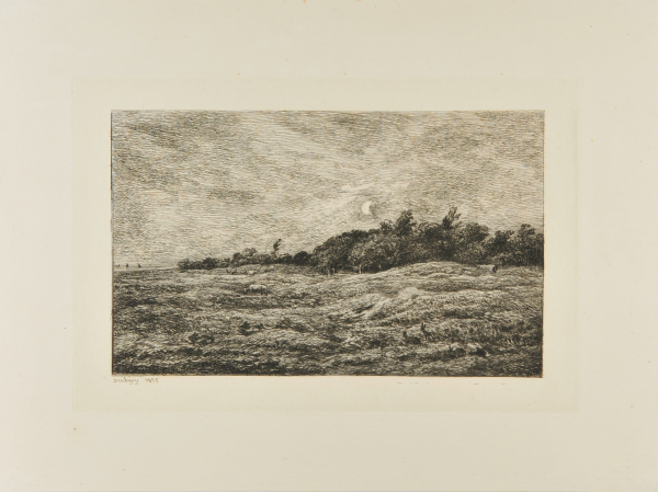 THE MEADOW AT GRAVES IN VILLERVILLE (CALVADOS)