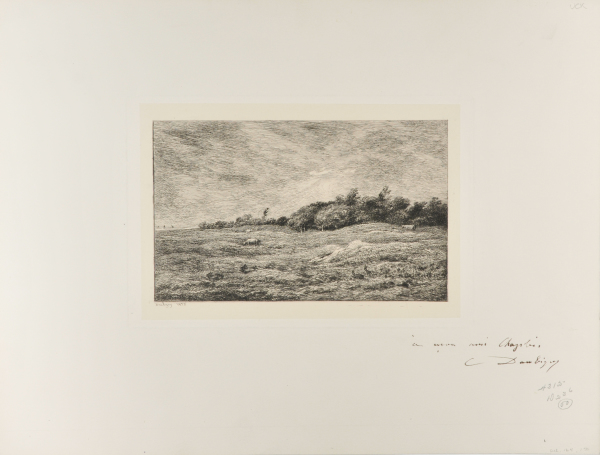 THE MEADOW AT GRAVES IN VILLERVILLE (CALVADOS)