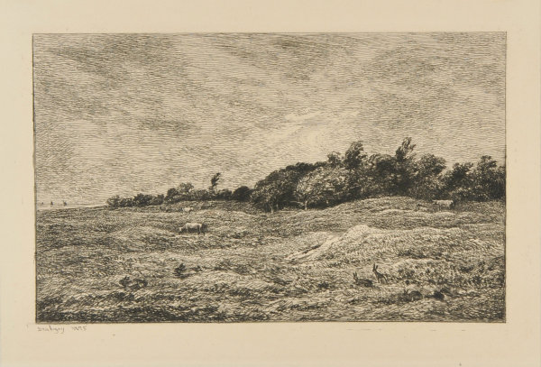 THE MEADOW AT GRAVES IN VILLERVILLE (CALVADOS)