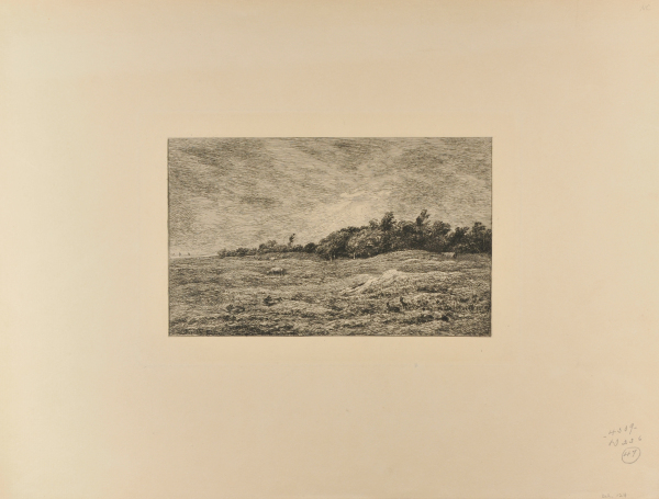 THE MEADOW AT GRAVES IN VILLERVILLE (CALVADOS)