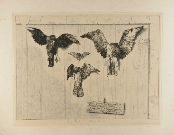 THE TOP HALF OF THE DOOR