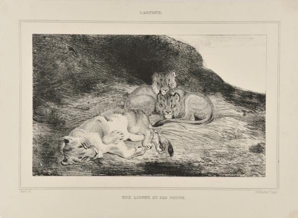 LIONESS AND HER CUBS