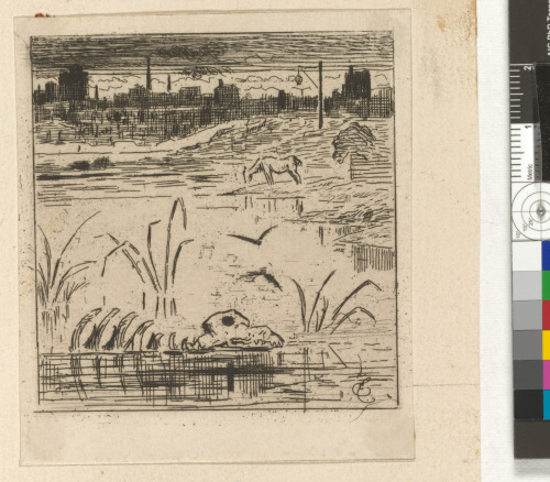 THE POND OF LA BIÈVRE