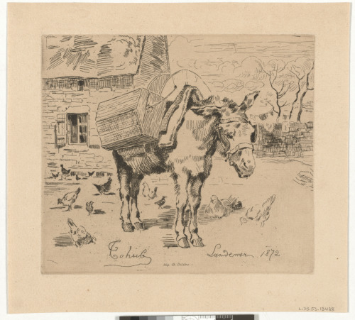 THE DONKEY MARIE-JEANNE