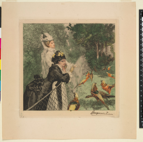 AT THE ZOOLOGICAL GARDENS