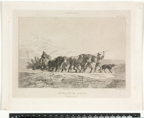 Attelage de boeufs (Haut-Dauphiné)