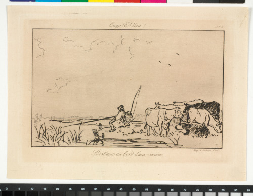CATTLE ON THE BANKS OF A RIVER