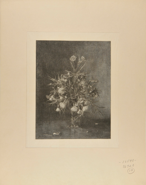 VASE OF RED AND WHITE CARNATIONS