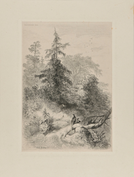 TWO PHEASANTS IN THE FOREST