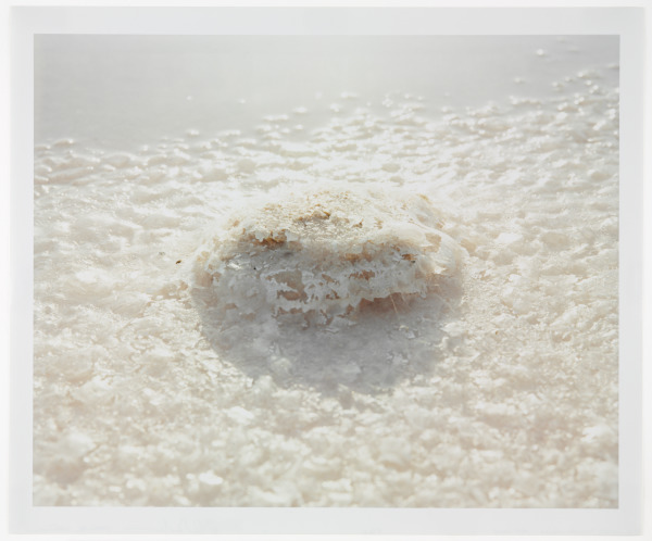 FRIED WATERS (YUCATAN, MEXICO [C12])