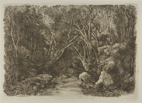 THE STREAM IN THE WOODS