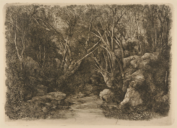 THE STREAM IN THE WOODS