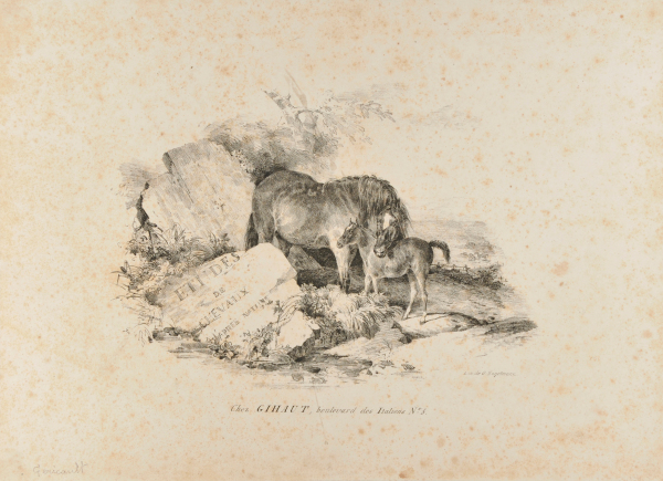 THE MARE AND ITS COLT