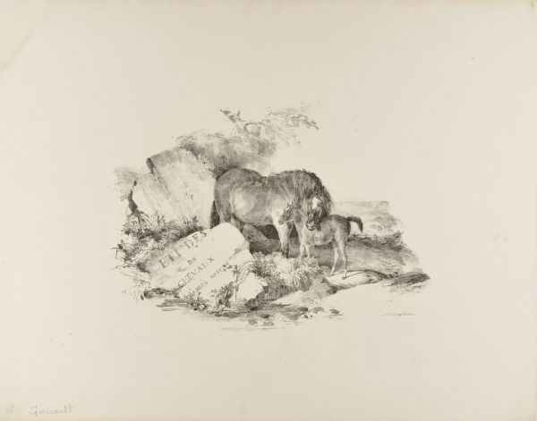 THE MARE AND ITS COLT