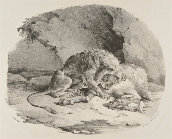 A HORSE BEING DEVOURED BY A LION