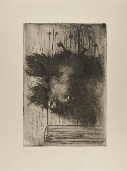 HEAD OF A BOAR, NAILED TO A DOOR