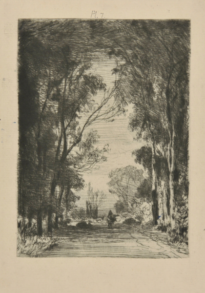 TRAVELER ON A ROAD IN A FOREST