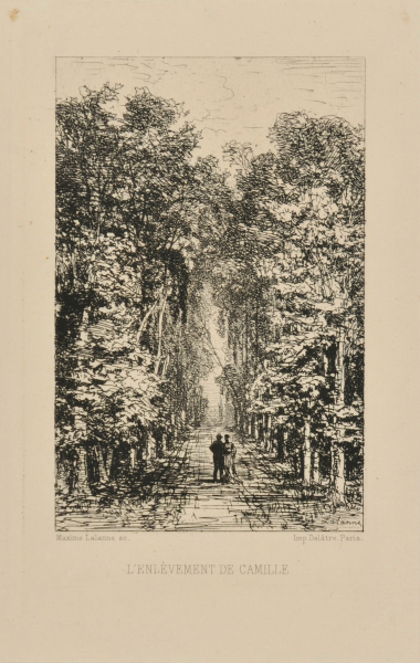 THE ABDUCTION OF CAMILLE