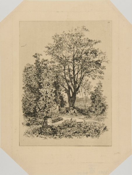 IN MY GARDEN AT BORDEAUX