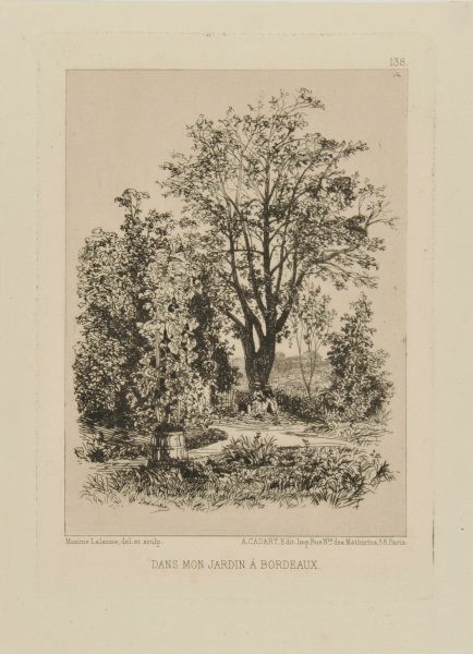 IN MY GARDEN AT BORDEAUX