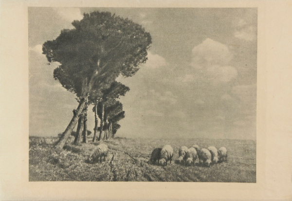 ROMAN CAMPAGNA