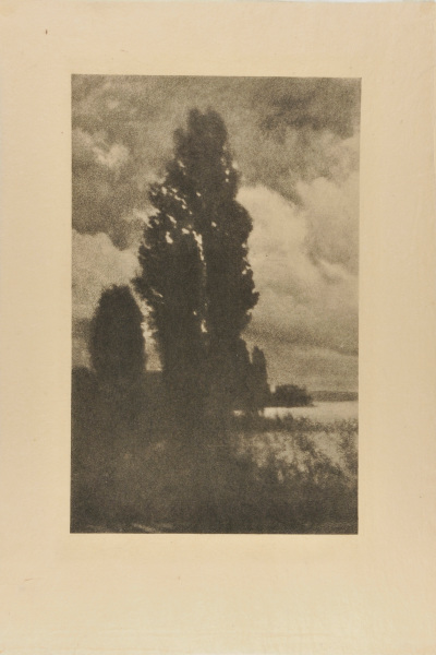 POPLARS AND CLOUDS