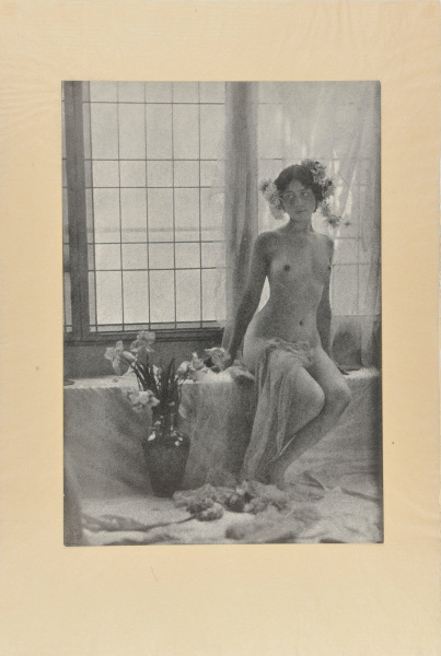 NUDE- AGAINST THE LIGHT