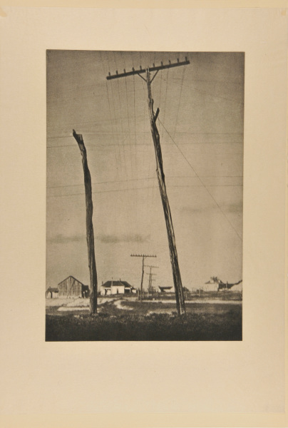 TELEGRAPH POLES