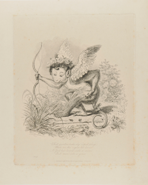 “What wanton tricks sly Cupid plays”