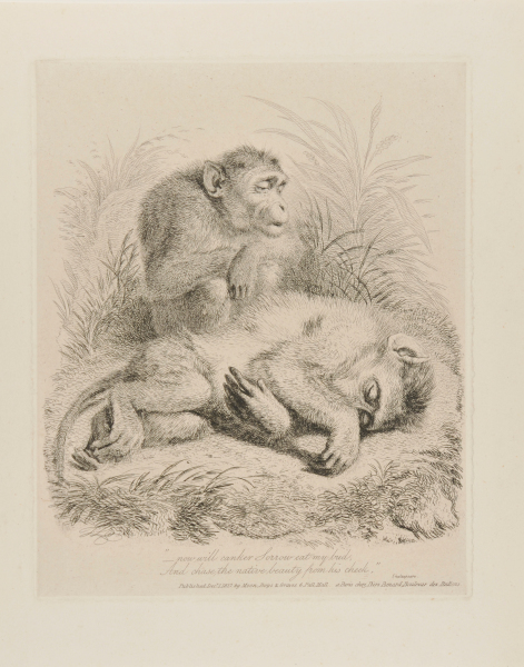 “–now will canker Sorrow eat my bud”