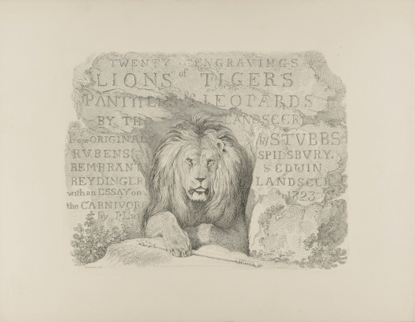 Cover for “Lions and Tigers”