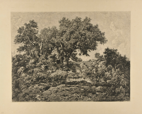 THE HUT, FOREST OF FONTAINEBLEAU