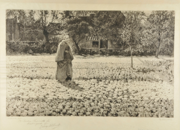 La Culture des tulipes