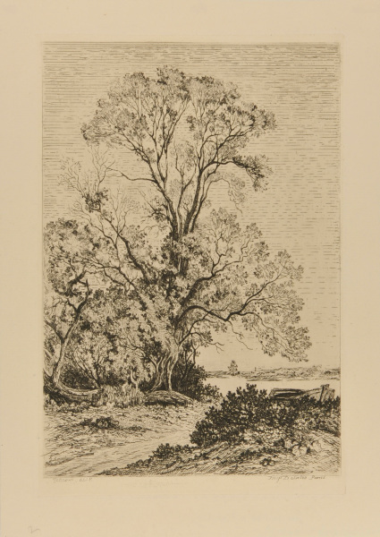 THE WILLOWS IN NEUILLY