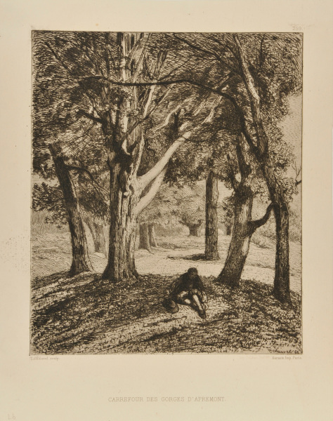 CROSSROADS IN THE GORGES OF APREMONT