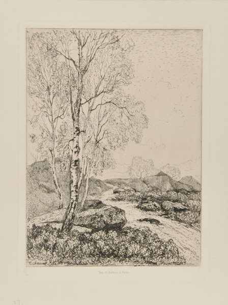 JEAN DE PARIS (FONTAINEBLEAU FOREST)