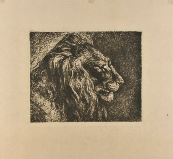 HEAD OF A LION (FROM NATURE)