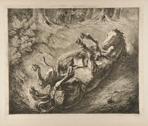 TIGER ATTACKING A HORSE