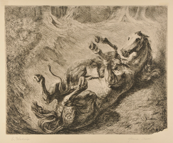 TIGER ATTACKING A HORSE