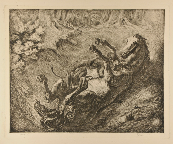 TIGER ATTACKING A HORSE