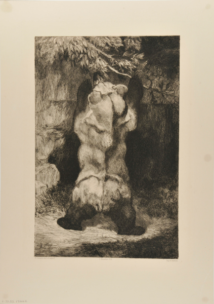 BROWN BEAR OF ASTURIAS (SPAIN)