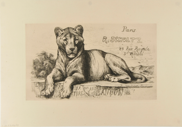 COVER FOR "ETUDES D'ANIMAUX"