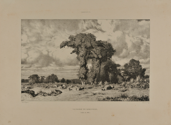 PASTURES OF LIMOUSIN